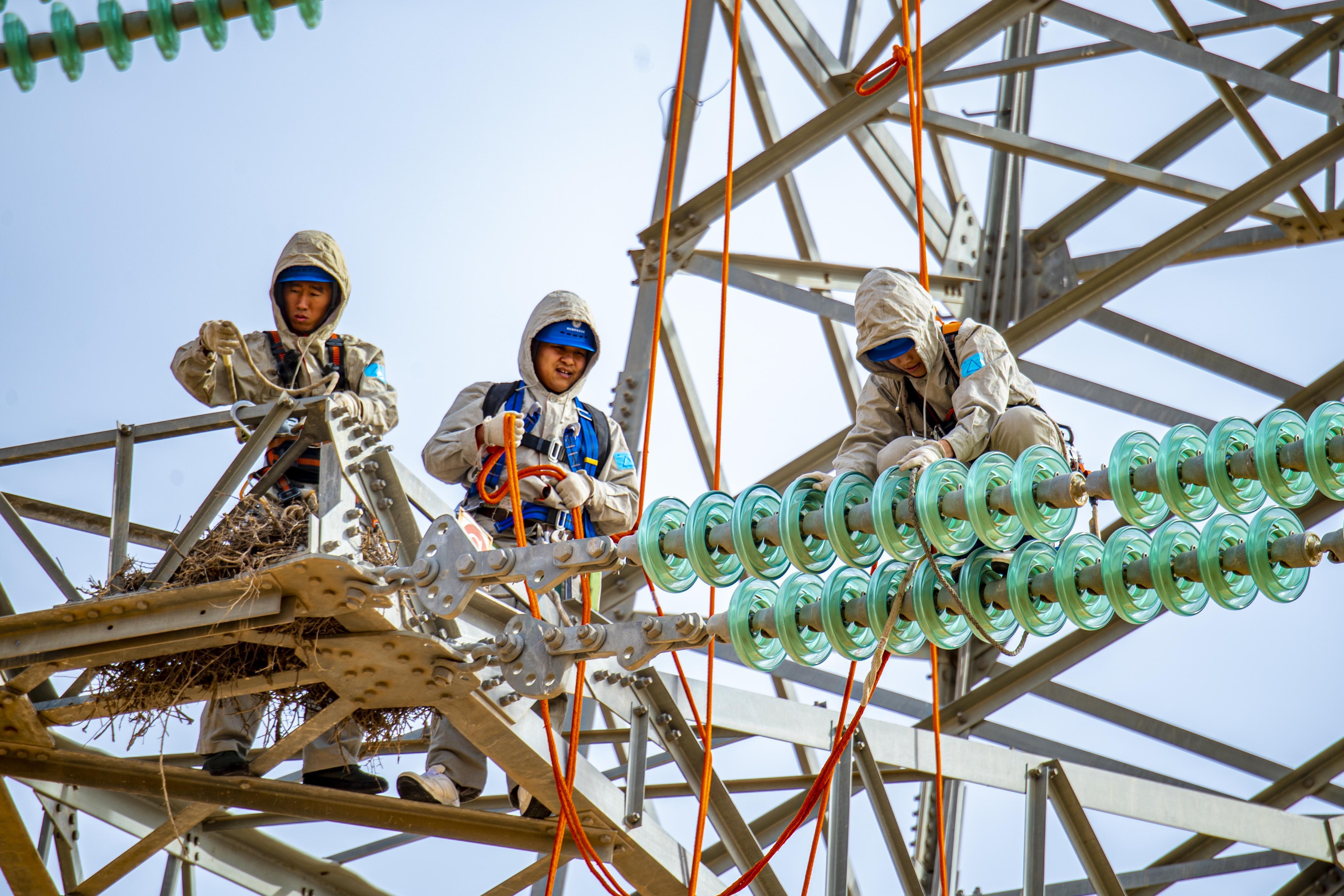 阿拉善供电公司：实干笃行致远  奋楫赶超争先